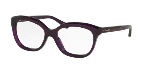 Picture of Coach Eyeglasses HC6096F
