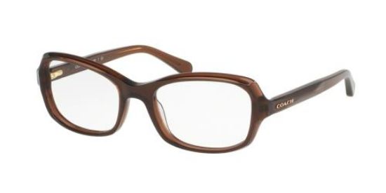 Designer Frames Outlet Coach Eyeglasses Hc6097 6963