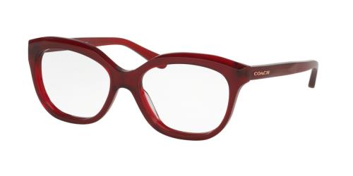 Picture of Coach Eyeglasses HC6096