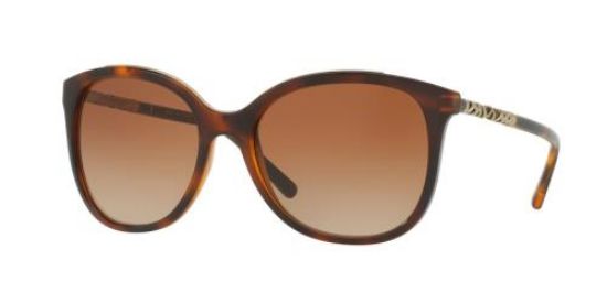 Burberry BE4146 32813D Sunglasses In Brown SmartBuyGlasses USA |  