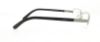 Picture of Polo Eyeglasses PH1087