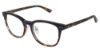 Picture of Ann Taylor Eyeglasses AT400
