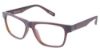Picture of Champion Eyeglasses 3008