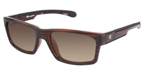 Picture of Champion Sunglasses 6019