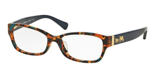 Picture of Coach Eyeglasses HC6078