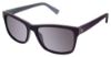 Picture of Nicole Miller Sunglasses Waterside