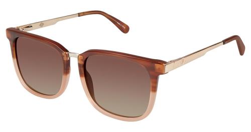 Picture of Sperry Sunglasses NEWBURYPORT
