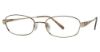 Picture of Aristar Eyeglasses AR 16304