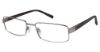 Picture of Charmant Eyeglasses TI 10741