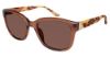 Picture of Elle Sunglasses EL 14824