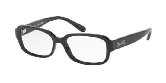 Picture of Coach Eyeglasses HC6105F