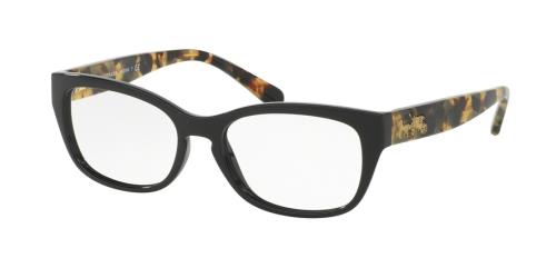 Picture of Coach Eyeglasses HC6104F