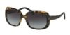 Picture of Coach Sunglasses HC8178F L1592