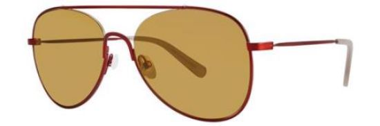 Picture of Penguin Sunglasses THE CRAIG SUN