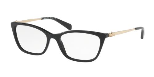 Picture of Coach Eyeglasses HC6107