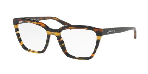 Picture of Coach Eyeglasses HC6109