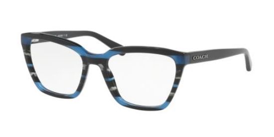Picture of Coach Eyeglasses HC6109F