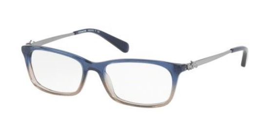 coach eyeglasses hc6110