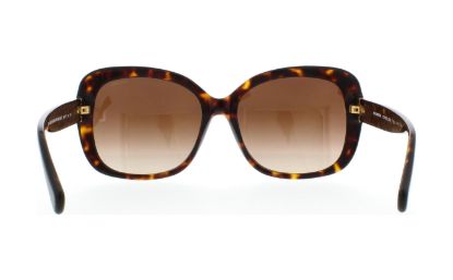 Picture of Coach Sunglasses HC8158 L139