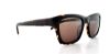 Picture of Lacoste Sunglasses L645S