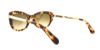 Picture of Kate Spade Sunglasses JAYNA/S