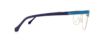 Picture of Roberto Cavalli Eyeglasses RC 0762