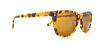 Picture of Converse Sunglasses Y003 UF