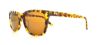 Picture of Converse Sunglasses Y003 UF