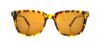 Picture of Converse Sunglasses Y003 UF