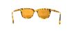 Picture of Converse Sunglasses Y003 UF