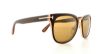Picture of Tom Ford Sunglasses FT0290