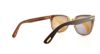 Picture of Tom Ford Sunglasses FT0290