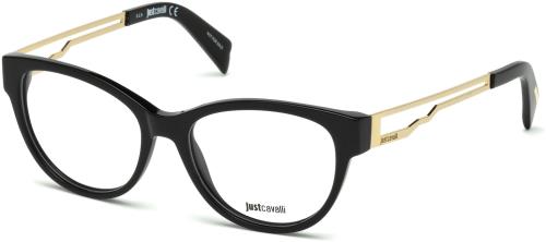 Picture of Just Cavalli Eyeglasses JC0802