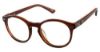 Picture of Champion Eyeglasses 7017