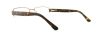 Picture of Polo Eyeglasses PH1115