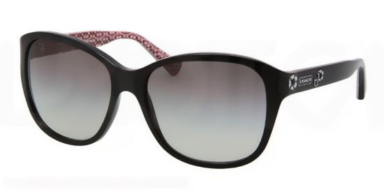Picture of Coach Sunglasses HC8017