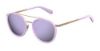 Picture of Polaroid Core Sunglasses PLD 6032/S