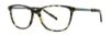 Picture of Vera Wang Eyeglasses V505