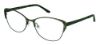 Picture of Bcbgmaxazria Eyeglasses FALLON