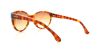 Picture of Michael Kors Sunglasses M2852S SAVANNAH