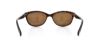 Picture of Guess Sunglasses GU 7209