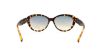 Picture of Guess Sunglasses GU 7273