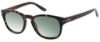 Picture of Gant Sunglasses GS 2001