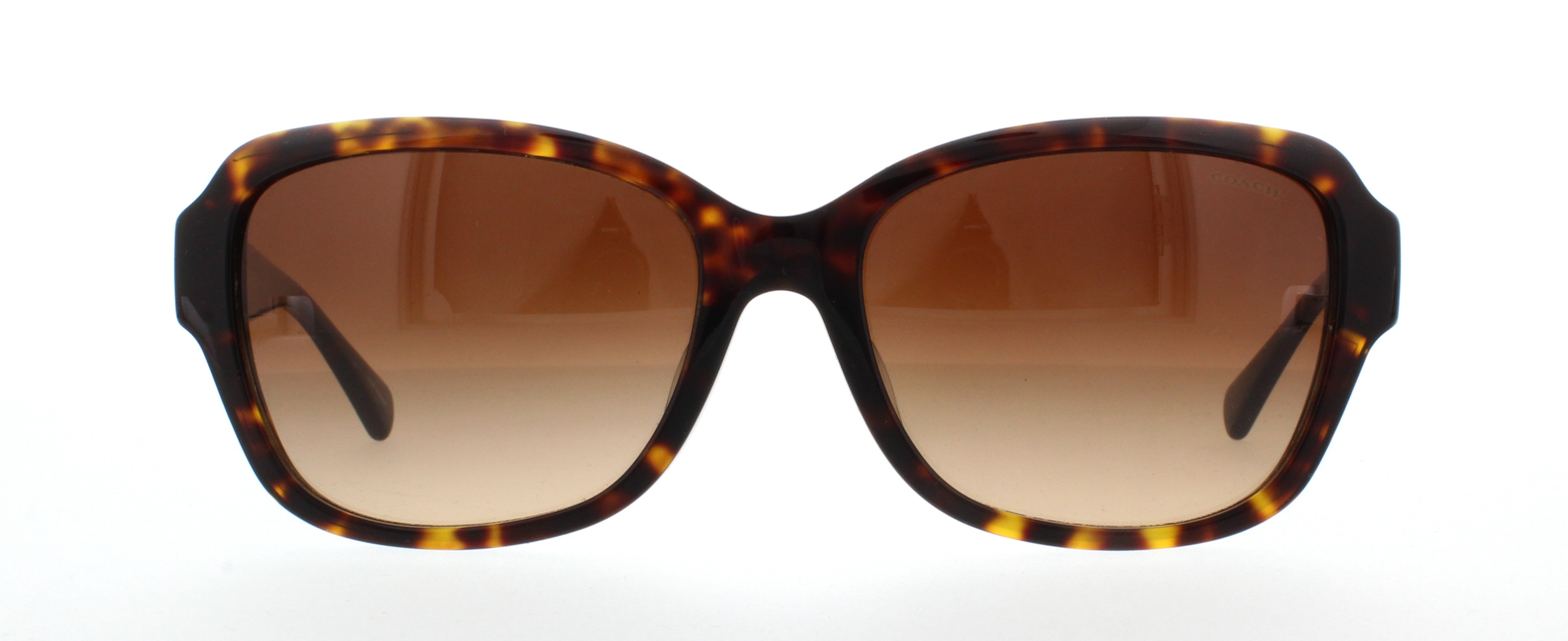 Designer Frames Outlet. Coach Sunglasses HC8160F L562