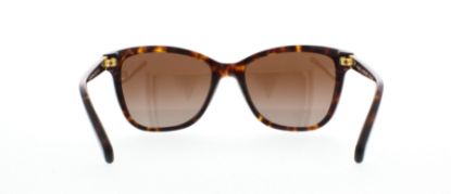 Picture of Coach Sunglasses HC8187B L1597