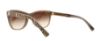 Picture of Michael Kors Sunglasses MK2022F Rania II (F)