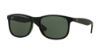 Picture of Ray Ban Sunglasses RB4202F