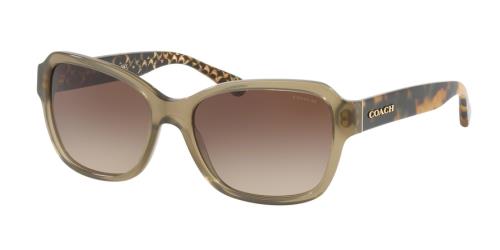 Designer Frames Outlet. Coach Sunglasses HC8232F