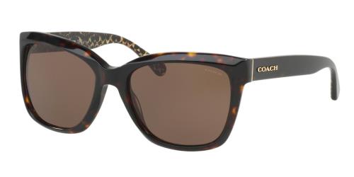 Picture of Coach Sunglasses HC8230