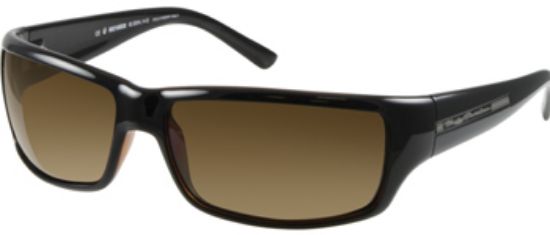 Picture of Harley Davidson Sunglasses HDX 810